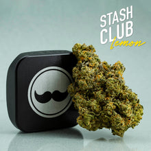 Load image into Gallery viewer, Stash Club Lemon-02