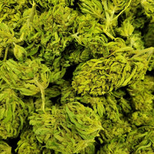 Load image into Gallery viewer, Umpqua CBD-04