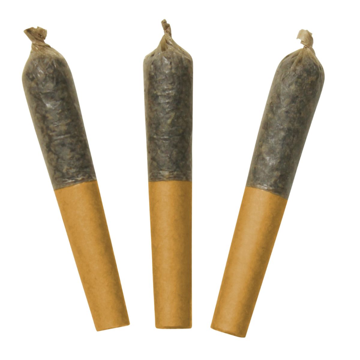 Dab Bods Hawaiian Plusher 60's+ Dbl Infused Pre-Rolls-03