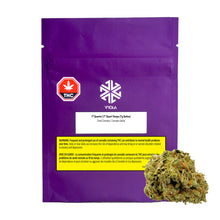 Load image into Gallery viewer, 1st Quarter-01