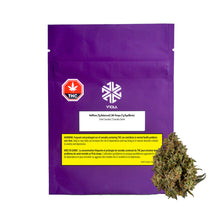 Load image into Gallery viewer, Halftime Balanced-01