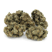 Load image into Gallery viewer, Glade Runner 28G Payloads-01