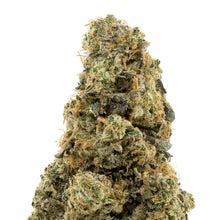 Load image into Gallery viewer, Animal Face-03