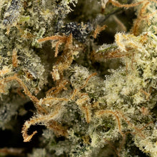 Load image into Gallery viewer, Animal Face-04