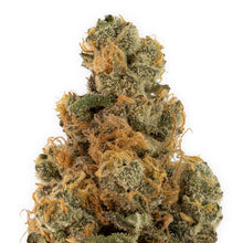 Load image into Gallery viewer, Baby Yoduh-03