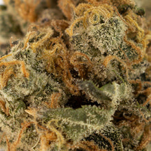 Load image into Gallery viewer, Baby Yoduh-04