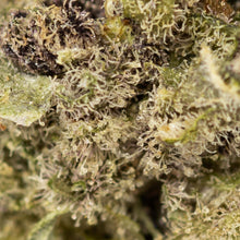 Load image into Gallery viewer, Blue Cheese-03