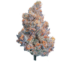 Load image into Gallery viewer, Blueberry Lemonade-01