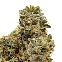 Load image into Gallery viewer, Cake Crasher #1-02