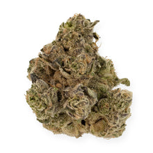 Load image into Gallery viewer, Chatter Box-02