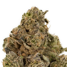 Load image into Gallery viewer, Chatter Box-03