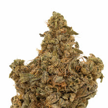 Load image into Gallery viewer, Citrique-02