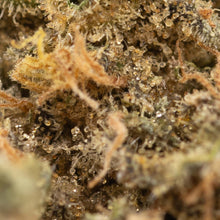 Load image into Gallery viewer, Citrique-03