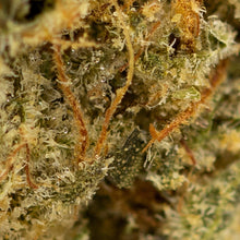 Load image into Gallery viewer, Cookies Gelato-03