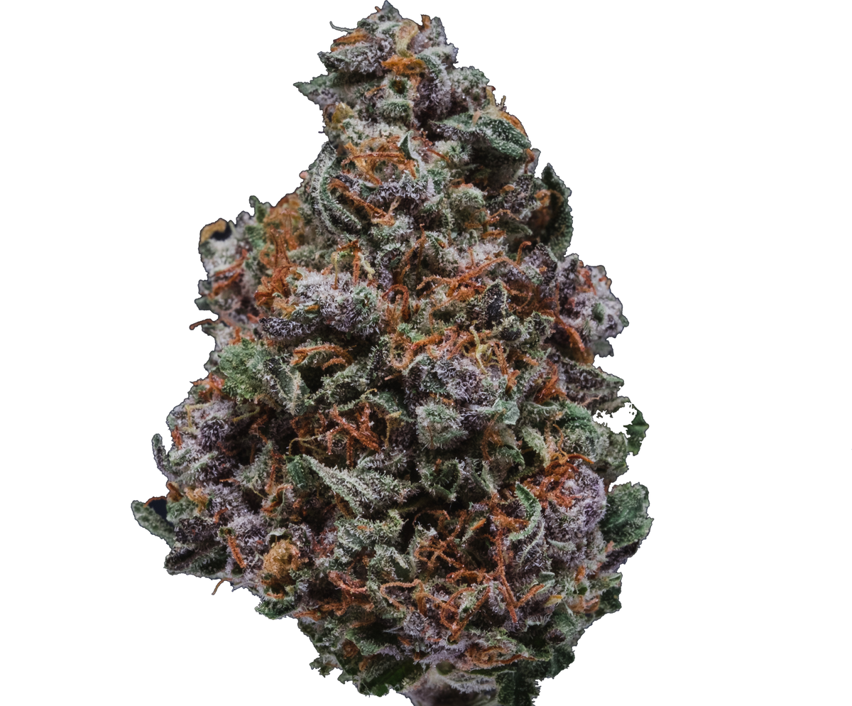 Do-Si-Dos-01