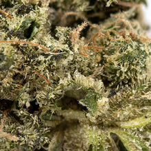 Load image into Gallery viewer, El Gordo-02