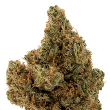 Load image into Gallery viewer, Tranquil Elephantizer-02