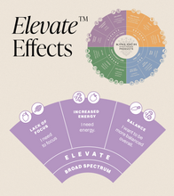 Load image into Gallery viewer, Elevate™- CBD Blackberry Lemon Gummy Drop-05