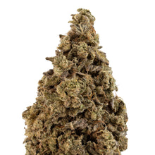 Load image into Gallery viewer, First Class Funk-02