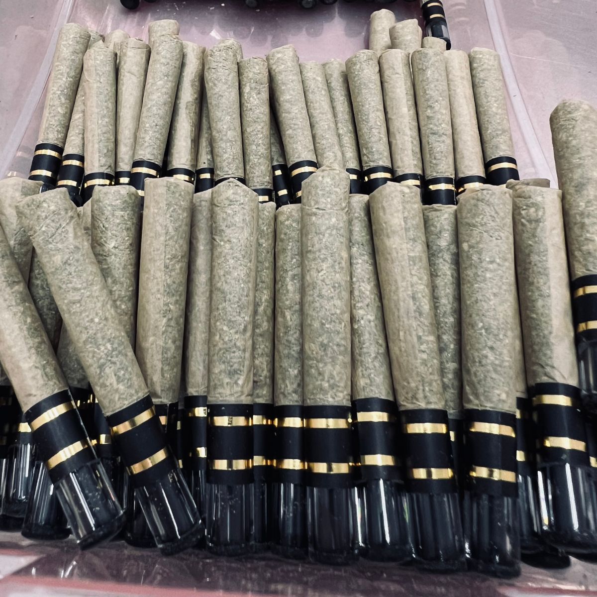Black Tuna Glass-Tipped Pre-Roll-03