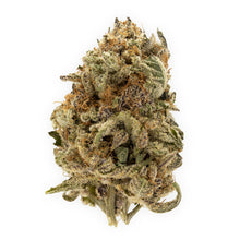 Load image into Gallery viewer, Grape Pupil-01