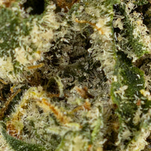 Load image into Gallery viewer, Grape Stank-04