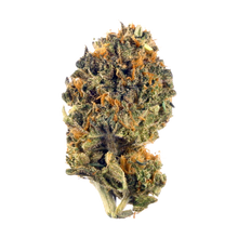 Load image into Gallery viewer, Grease Monkey-02