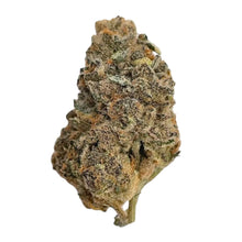 Load image into Gallery viewer, Animal Mints-01