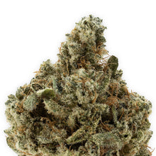 Load image into Gallery viewer, Jet Fuel-02