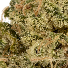Load image into Gallery viewer, Kosmic Kush-03