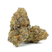 Load image into Gallery viewer, Ladies Night-01