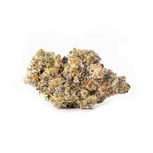 Load image into Gallery viewer, Lee Anne WoMac-01