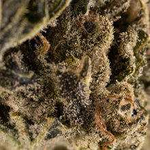 Load image into Gallery viewer, Lemon Sour Diesel-03