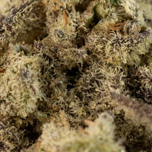 Load image into Gallery viewer, Mac 1-03