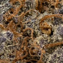 Load image into Gallery viewer, Mandarin Cookies-03