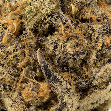 Load image into Gallery viewer, Meat Breath-03