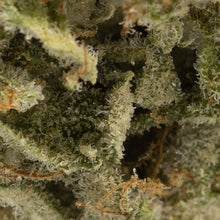 Load image into Gallery viewer, Mendoz Stomper-04