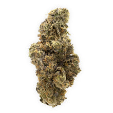 Load image into Gallery viewer, Mint Chocolate Chip-02