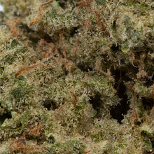 Load image into Gallery viewer, Crooked Dory Mint Smash-03