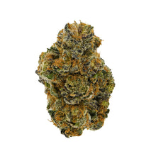 Load image into Gallery viewer, Research Institute Gorilla Dosha-01