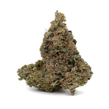 Load image into Gallery viewer, Orange Tingz-01