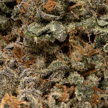 Load image into Gallery viewer, Orange Tingz-03