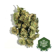 Charger l'image dans la galerie, Popcorn Buds - The Ambassador Infused-01