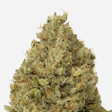 Load image into Gallery viewer, Rainbow Driver-02