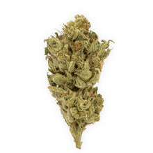 Load image into Gallery viewer, Rocketpac-01