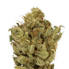 Load image into Gallery viewer, Rocketpac-02