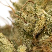 Load image into Gallery viewer, Rocketpac-03