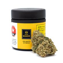 Load image into Gallery viewer, Sin Mints-02