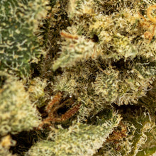 Load image into Gallery viewer, Sin Mints-04