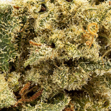 Load image into Gallery viewer, Sin Mints-05